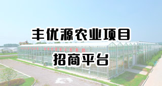 下载详情底部广告位