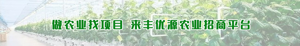 视频详情右侧广告位