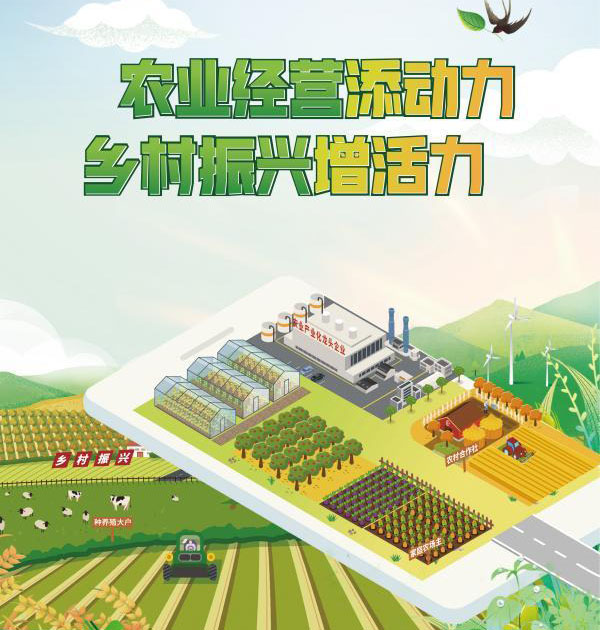 2024年度农民专业合作社“金陵惠农贷”贷款额度名单的通知